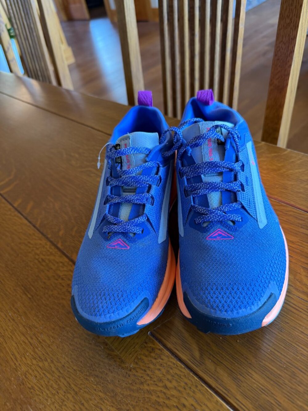 Nike Pegasus Trail 5 Gore-Tex Pure Sapphire Blue Pink Size 9.5 Women